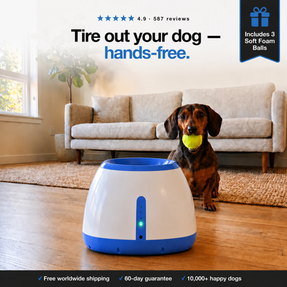 FetchFlow™ Ball Launcher